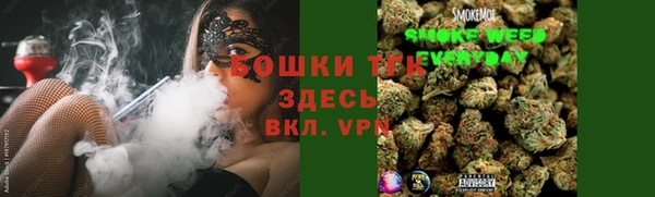 прущие грибы Ладушкин